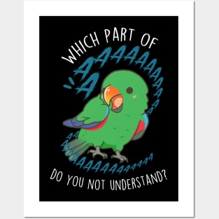 Male Eclectus Parrot Aaaa Posters and Art